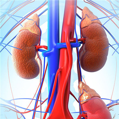 Early symptoms of kidney disease?