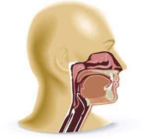 What symptom is laryngeal cancer inchoate period?