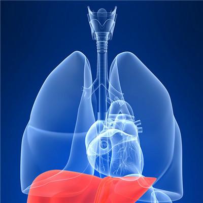 What are the symptoms and treatment of early liver cancer